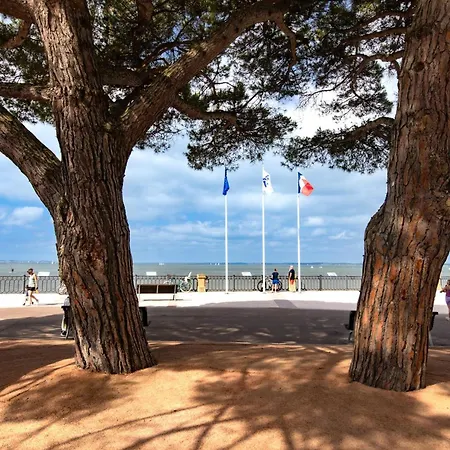Maison Calme Et Vue Foret